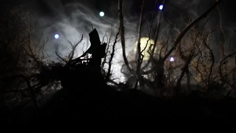 Night mysterious forest in cold tones Vídeo Stock 217071197