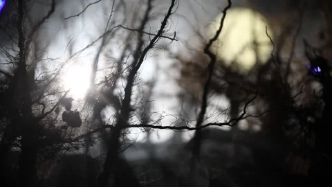 Night mysterious forest in cold tones Video stock 217076789