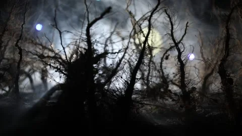 Night mysterious forest in cold tones Vídeo Stock 217088698