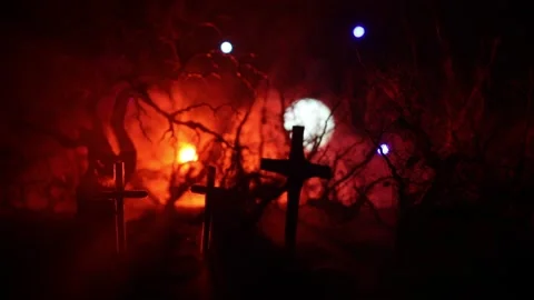 Night mysterious forest in cold tones Vídeo Stock 217116691
