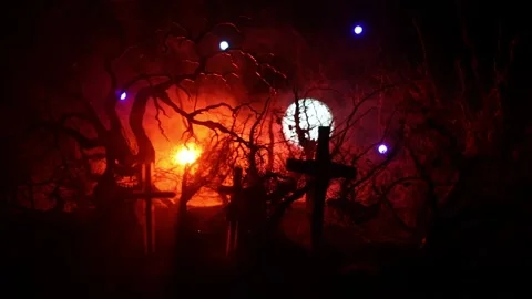 Night mysterious forest in cold tones Vídeo Stock 217129077