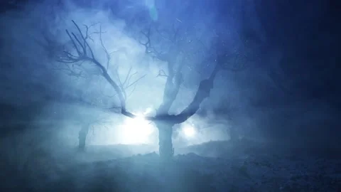 Night mysterious forest in cold tones Vídeo Stock 253759212