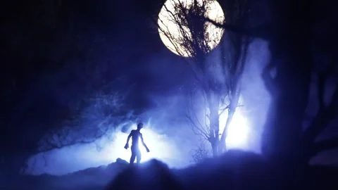 Night mysterious forest in cold tones Vídeo Stock 253763012
