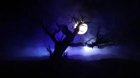 Night mysterious forest in cold tones Vídeo Stock 253763168