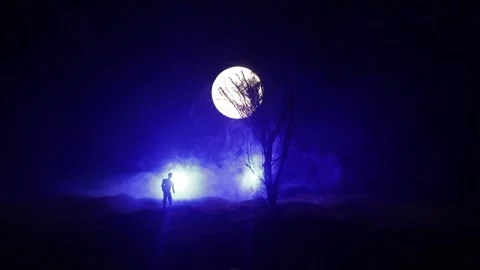 Night mysterious forest in cold tones Vídeo Stock 253763300