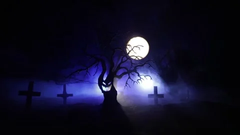 Night mysterious forest in cold tones Vídeo Stock 253783552