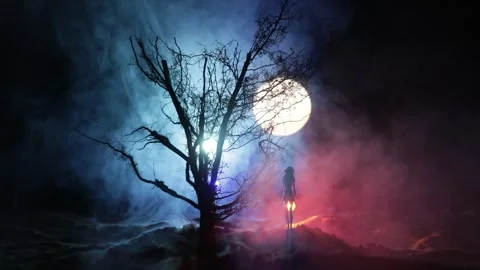 Night mysterious forest in cold tones Vídeo Stock 253789407
