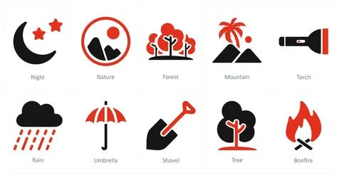 Night, nature, forest Stock Illustration