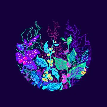 Night nature. Rainbow pattern in circle. Natural healthy tropical picture. Co Illustrazione stock