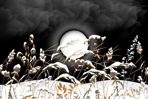 Night nature scenery. Stock Illustration