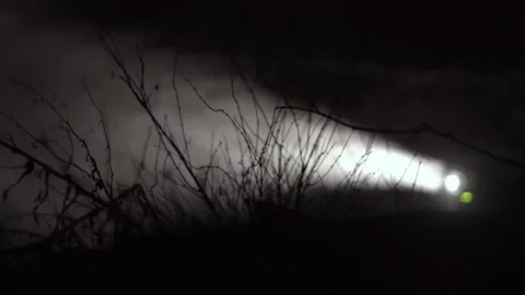 Night operations for snow making with plants in the foreground Stock Footage 219431231