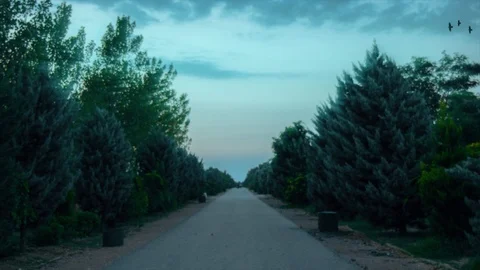 Night or sunset time, green park bicycle road.  Stock Footage 97005405