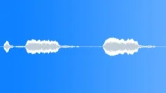 Night Owl Sound Effect