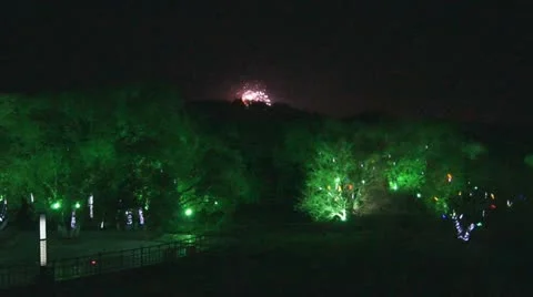 Night Park and Fireworks Stock Footage 11133763