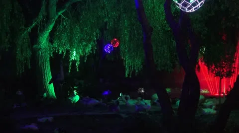 Night park Stock Footage 25620195