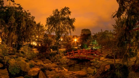 A Night in the Park Stock Footage 92528071