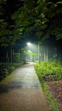 Night park with lanterns Stock Photos