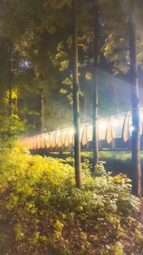 Night park with lanterns Stock Photos