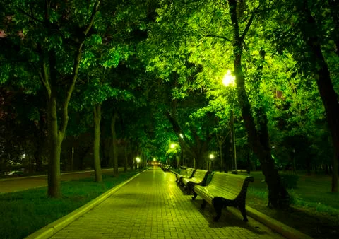 Night Park Stock Photos