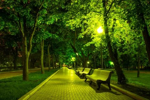 Night Park Foto stock