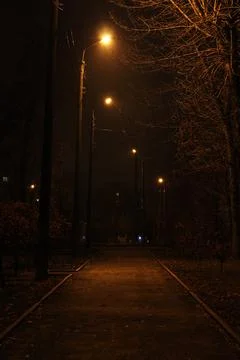 Night park Foto stock