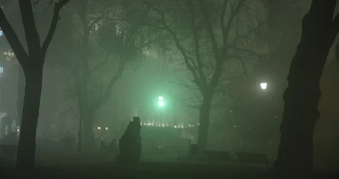 Night park in Sofia in thick fog and tree silhouettes 스톡 동영상 121301019
