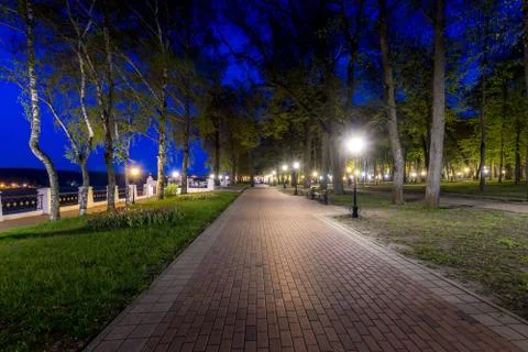 Night park in summer. Stock Photos