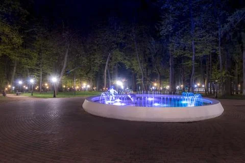 Night park in summer. Stock Photos