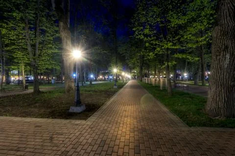 Night park in summer. Stock Photos