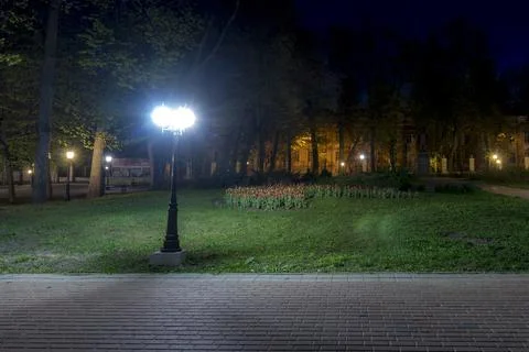 Night park in summer. Stock Photos