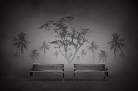 Night park with two bench Stock Photos