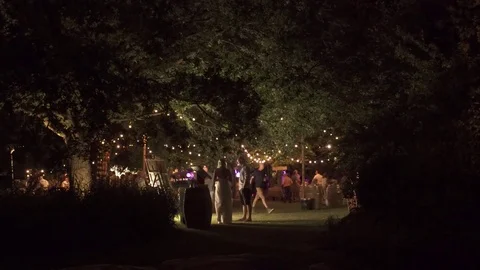 Night Party outdoors nature Stock Footage 82893053