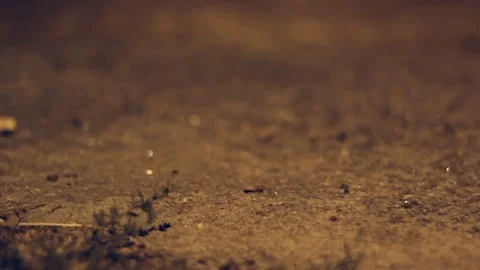 Night Path Bokeh Stock Footage 78766997