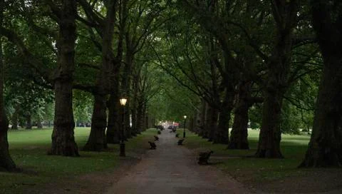 Night path in the park Stock Photos