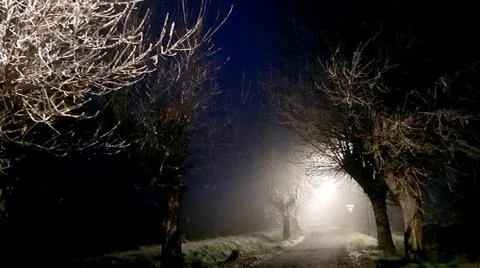 In the night Stock Photos