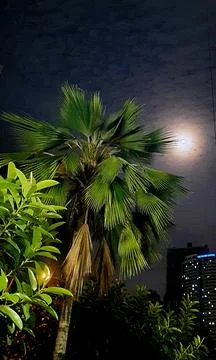 Into the Night Stock Photos