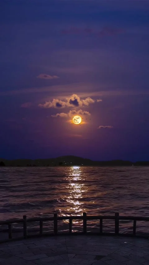 Night Purple Stock Footage 236079645