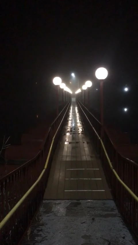 Night rain on the bridge Stock Footage 171684094