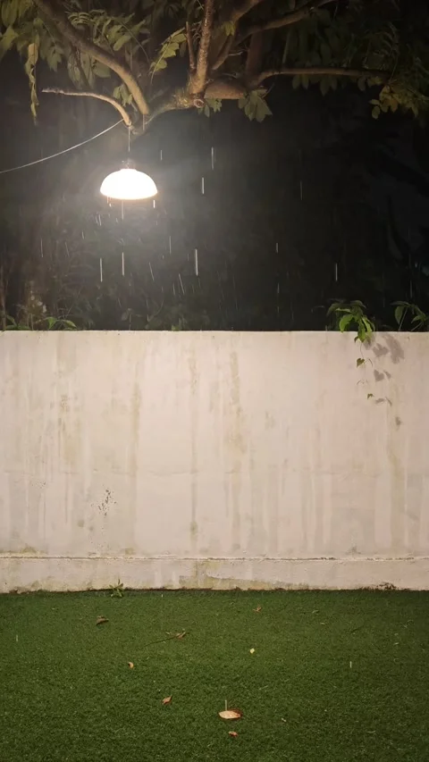 Night Rainfall Illuminated by Garden Lamp Under Tree Canopy in Malaysia Vídeos de archivo 346753492