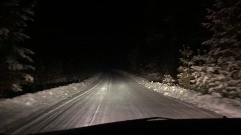 Night ride through the winter forest Stock Footage 121942464