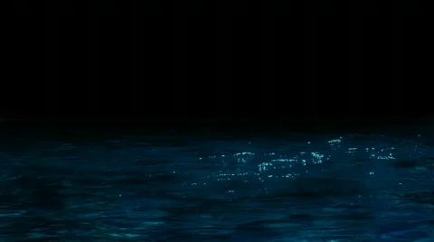 Night Ripples 1 Stock Footage 490202