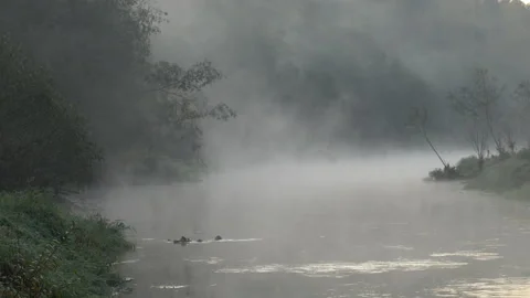 Night river Video stock 141377559