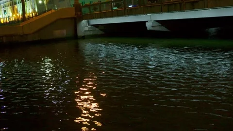Night river, river within the city Stock Footage 315236092