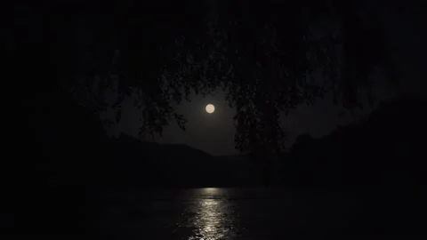 Night river side view with full moon Stock Footage 172084870