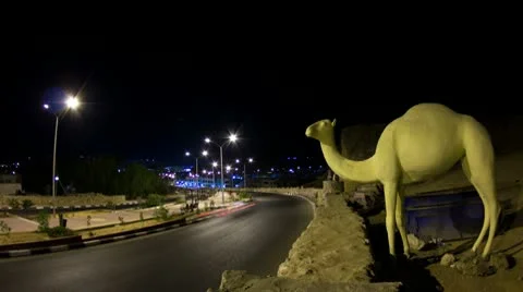 Night road with camel Stock Footage 8978744