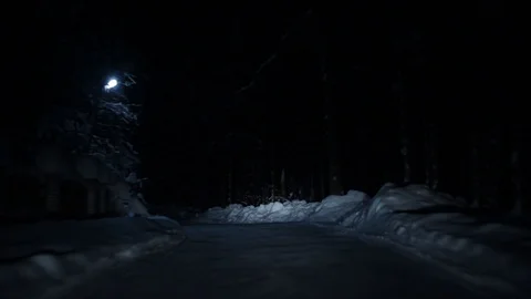 Night road through a thick scary forest. shooting from the car on the track. car Stock Footage 107650026