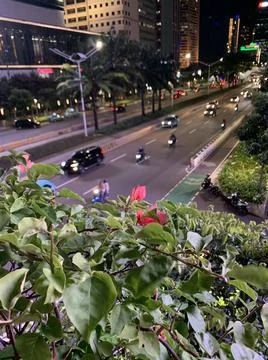 Night Road view Stock Photos