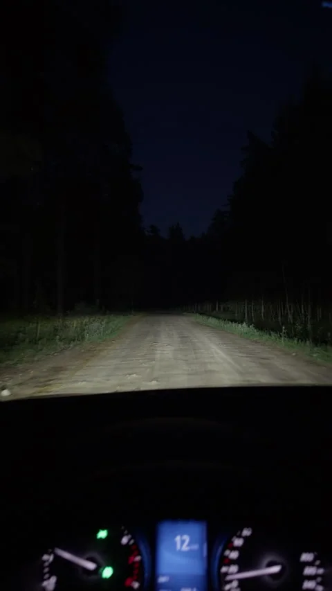 Night road viewed from car driving through dark forest on isolated dirt path Stock Footage 346558708