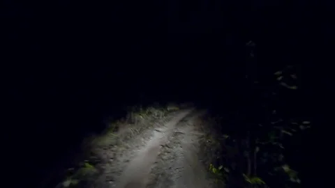 Night safari in the buffer zone of Kanha National Park, Madhya Pradesh, India Stock Footage 129891793