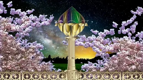 NIGHT SAKURA PARK Stock Footage 71635510